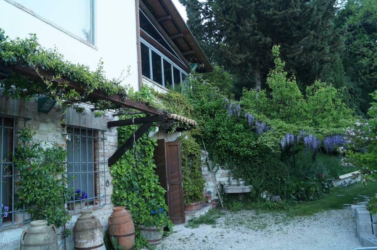 Bed And Breakfast Il Governatore 우르비노 외부 사진